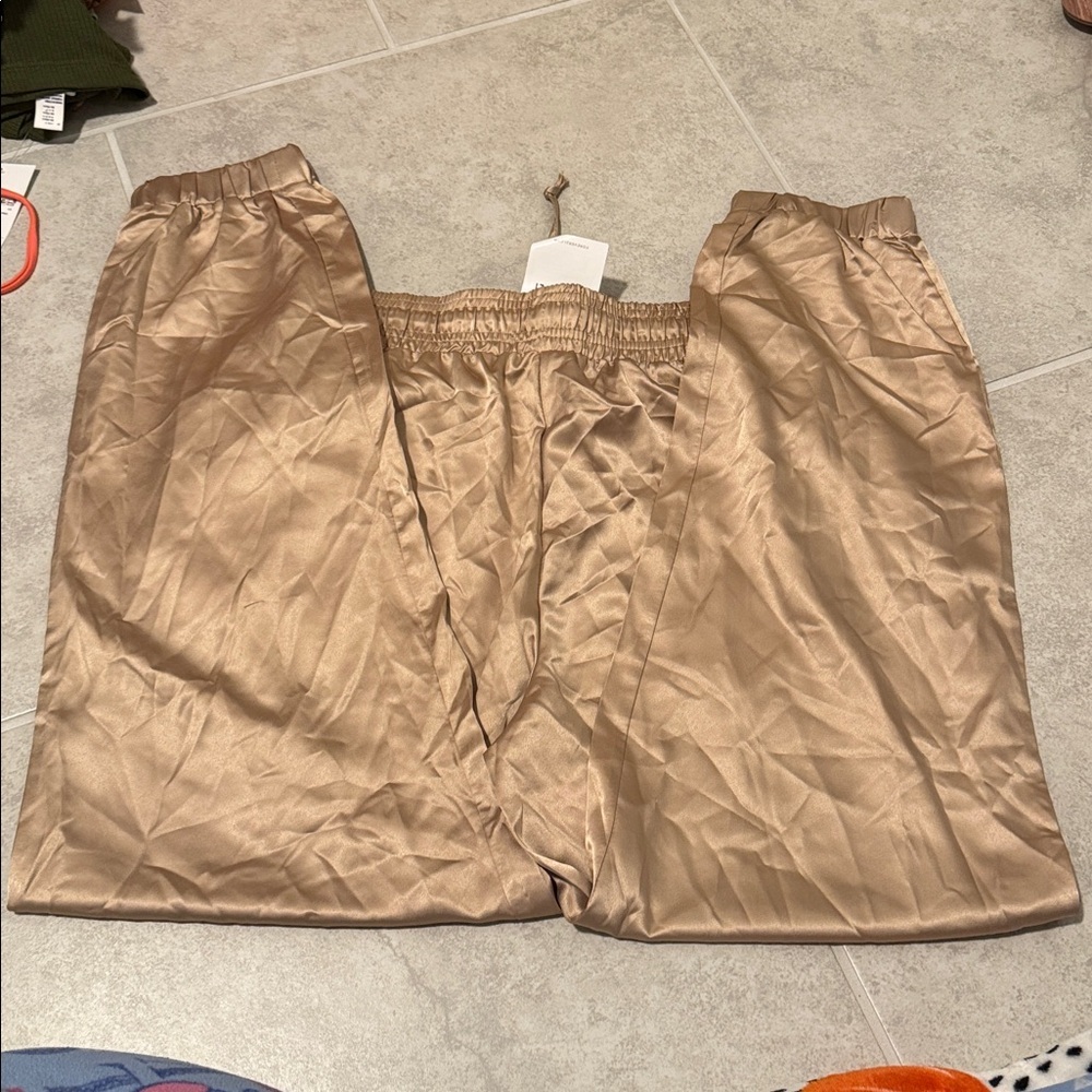 Forever 21 Metallic Beige Joggers - Picture 2 of 3